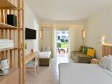 Superior Room - Double or Twin Bed