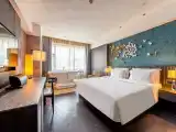 Deluxe Room (bathtub +minibar)