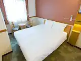Deluxe Single Room-Non-Smoking