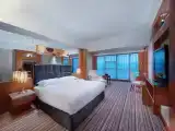 Guestroom (Double Bed) (French Window, Bathtub)