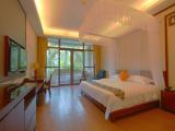 Queen Room With Courtyard View