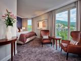 Deluxe Room Panorama View