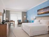 Deluxe King Room with Garden View