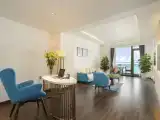 Canvas Suite