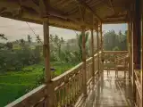 Suite Rijasa With Ricefield View