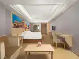 Deluxe Accessible Room (Double Bed)