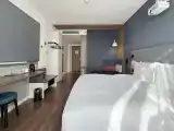 1King Bed-Room With Audio-visual Equipments