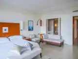 Superior Panoramic Room