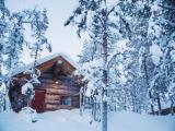 Gold Digger’s Cabin