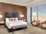 Reef Suite
