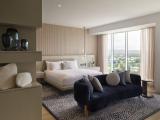 Executive SPA Suite
