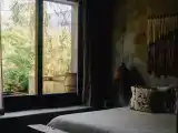 Premier Jungle Suite