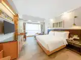 Executive Queen Room