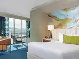 Executive King Room