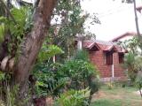 Family Bungalow