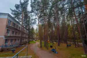 Отель «Комарово», Комарово