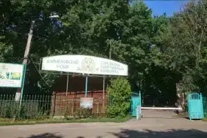 Вайцеховский и сын, Воронеж