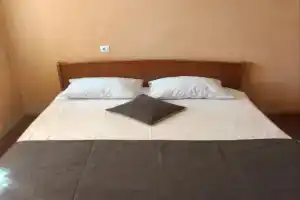 Птица счастья, Архангельск