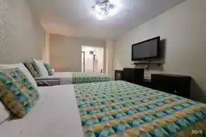 Апартаменты на Средне-Московской, Воронеж