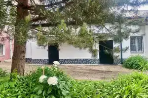 Paradeaparts, Ярославль