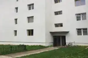 Апартаменты в лесу