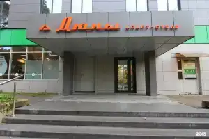 Дюны, Сосновый Бор