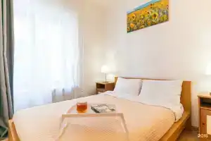 Profi Apart, Санкт-Петербург