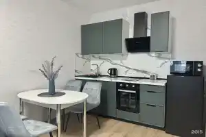 Апартаменты на Донбасская, 25к3, Воронеж