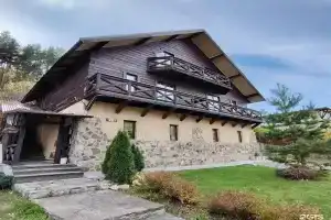 Горная пчела