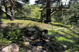 Себежские Холмы, Себеж