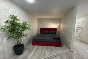 Комфорт, Сыктывкар