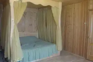 Старое русло