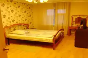 Квартира Березовая, Саров