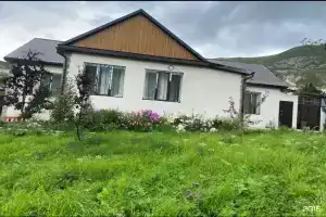 Золотая рыбка 05, Мочох