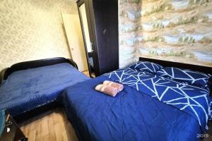 Квартиры посуточно в Подмосковье на Пушкинском шоссе