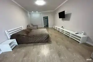 Апартаменты  Пушкина 54/1 кв 153, Минеральные Воды