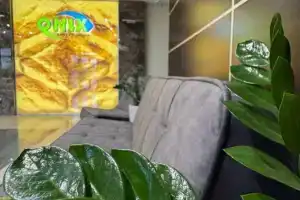 Гостиница «Оникс», Павловск