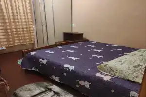 Счастливая матрёшка, Архангельск