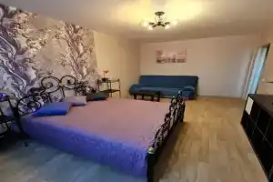 Апартаменты на проспекте Ленина 69, Нижний Новгород
