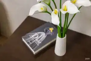 Апартаменты на улица Тополиная, д. 82, Благовещенск