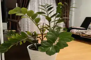 Апартаменты на Октябрьский пр-т, 30А, Петрозаводск
