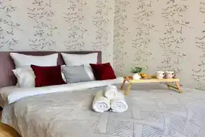Апартаменты на к1425, Зеленоград
