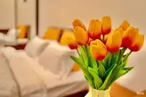 Апартаменты на Чкалова улица, 76, Кисловодск