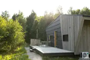 Domingo Dacha Афрейм, Выродово