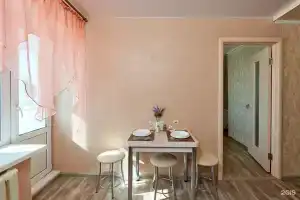 SutkiVIP, Пенза