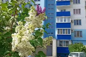 Апартаменты на проспект имени Ленина, д.116, Волжский