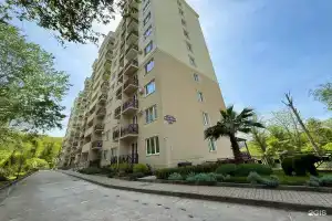 Квартирное бюро, Сочи