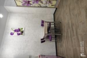 Студия 56, Адлер
