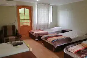 Лоза, Гудаута
