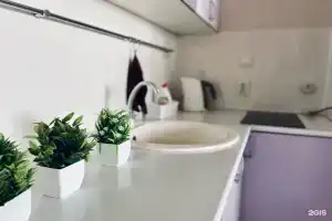 Alex_Apartments, Новая Усмань